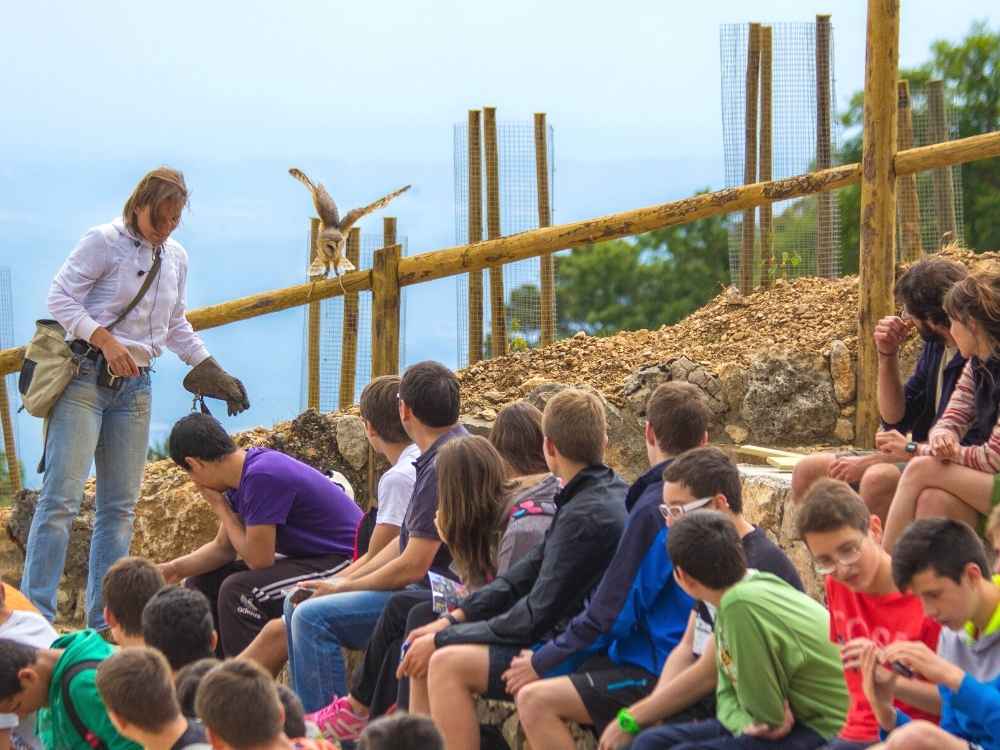 Visitar el Zoo de los Pirineos para ESO