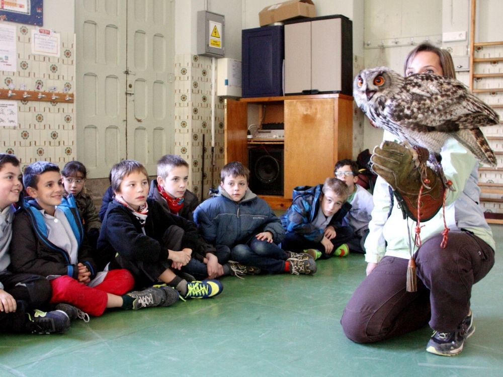 Talleres en la escuela