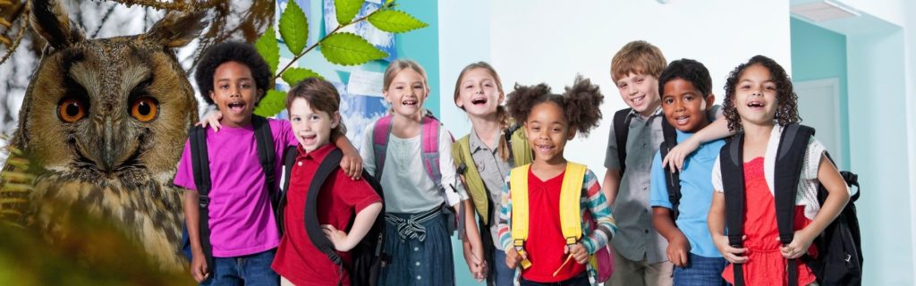 Requisits de l'espai - educando.zoodelpirineu.com Requisits de l'espai